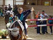 voltitag 2009 _CD1 119